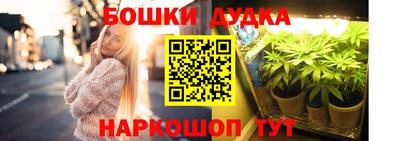 МДПВ Пенза