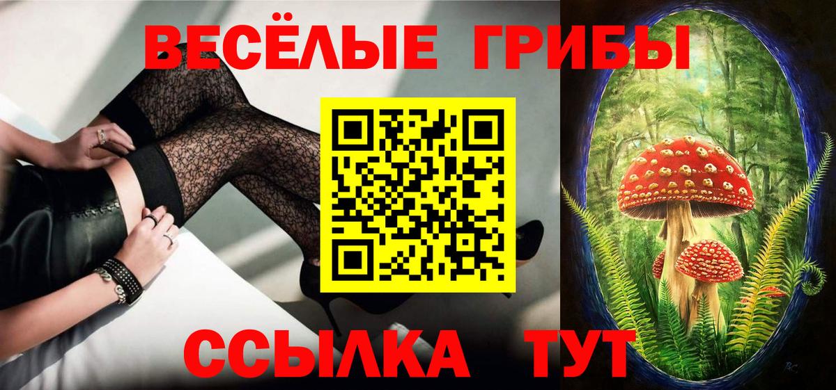 Псилоцибиновые грибы Psilocybine cubensis Сыктывкар