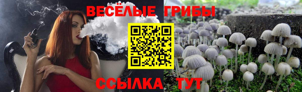 Псилоцибиновые грибы прущие грибы  Вход с VPN  Сыктывкар  цена наркотик  Псилоцибиновые грибы Magic Shrooms 